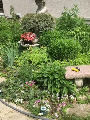 a garden with a bunch of flowers and plants at The Carriage House Flat - Downtown Paris Canada in Paris