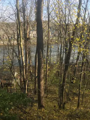 a group of trees in front of a body of water at The Carriage House Flat - Downtown Paris Canada in Paris