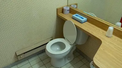 a bathroom with a toilet with a wooden shelf at Howard Johnson by Wyndham Niagara Falls in Niagara Falls