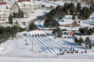a group of people skiing down a snow covered slope at Blue Mountain Resort Mosaic Suites in Blue Mountains