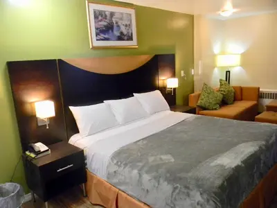 a bedroom with a large bed and a couch at American Plaza Motel in London
