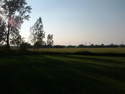 a field with trees and the sun in the sky at Majers Motel in Stratford