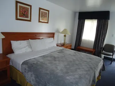 a hotel room with a bed and a chair at Westmount Motel in Woodstock