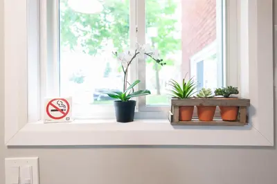 a window sill with plants and a no smoking sign at ENTIRE BACHELOR UNIT EN-SUITE UPTOWN WATERLOO - e5 in Waterloo