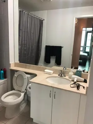 a bathroom with a toilet and a sink and a mirror at Executive 1 Bedroom Condo sleeps 2 in Toronto