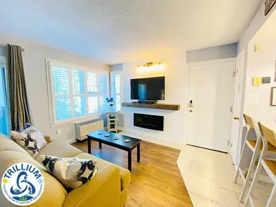 a living room with a couch and a tv at Slopeside Blue Mountain Condo - Wifi, Linens/Towels, Ski In/Out in Blue Mountains