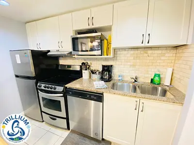 a kitchen with a stainless steel refrigerator and a sink at Slopeside Blue Mountain Condo - Wifi, Linens/Towels, Ski In/Out in Blue Mountains