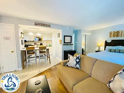 a bedroom with a bed and a couch and a kitchen at Slopeside Blue Mountain Condo - Wifi, Linens/Towels, Ski In/Out in Blue Mountains