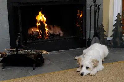 a white dog laying in front of a fireplace at Rocky Crest Golf Resort in MacTier