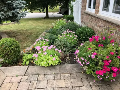a garden with pink flowers in a yard at Comfort Rooms Near Toronto Airport in Mississauga