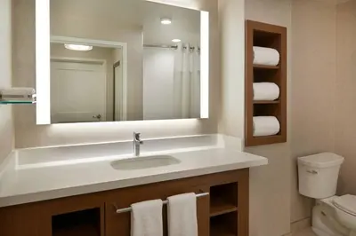 a bathroom with a sink and a mirror at Residence Inn by Marriott Toronto Mississauga Southwest in Mississauga
