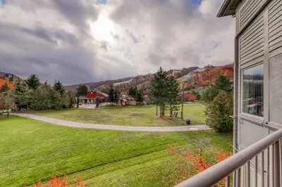 a view of a yard from a house at Cachet Crossing in Blue Mountains