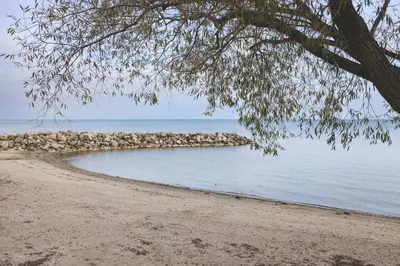 a view of a beach with a tree and the water at Wintergreen 218 in Blue Mountains