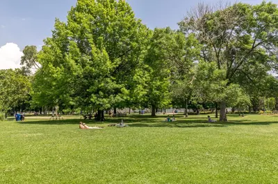 people laying in the grass in a park at Gorgeous Park House w Parking on Queen West in Toronto