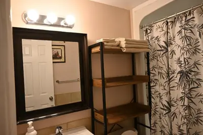 a bathroom with a sink and a mirror and a shower at Elgin Suite in Niagara Falls