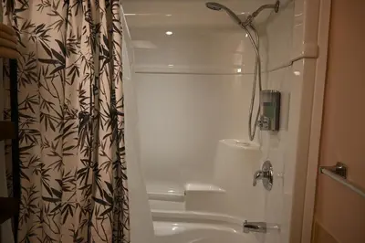 a bathroom with a shower curtain and a bath tub at Elgin Suite in Niagara Falls