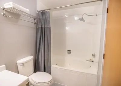 a white bathroom with a toilet and a shower at Blue Mountain Slopeside Chalet in Chateau Ridge in Blue Mountains