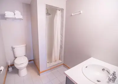 a bathroom with a toilet and a sink and a shower at Blue Mountain Slopeside Chalet in Chateau Ridge in Blue Mountains