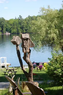 a statue of a tree next to a lake at Ogopogo Resort in Carnarvon