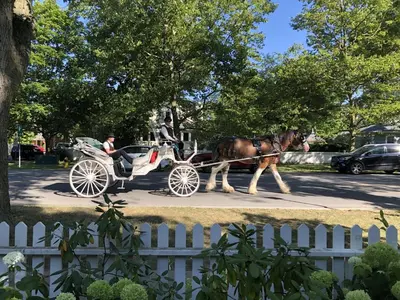 a horse pulling a carriage down a street at Harrogate House Inn in Niagara on the Lake