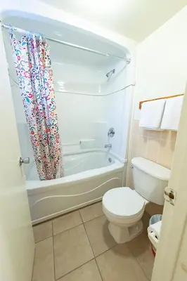 a bathroom with a toilet and a bath tub and a toilet at Choice Inn by the falls in Niagara Falls