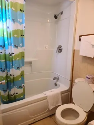 a bathroom with a toilet and a shower curtain at Choice Inn by the falls in Niagara Falls