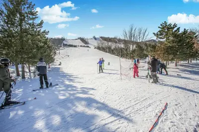 a group of people skiing down a snow covered slope at Executive Town Home-Mountain View-Historic Snowbridge Village, Walking Distance to the Resort in Collingwood