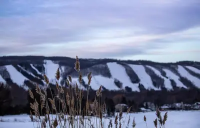 a snow covered field with a hill in the background at 2BR Boutique Suite #8 in Blue Mountains