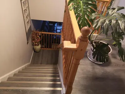 a staircase with a wooden railing and a plant at Comfortable room B in Kitchener