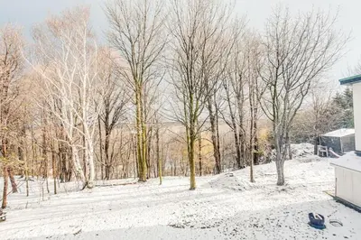 a snow covered yard with trees and a building at Blue Mtn Chalet with a Sauna, Sleeps 20 in Blue Mountains