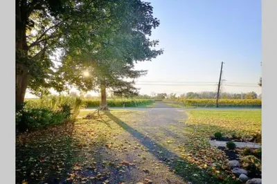 a tree on the side of a road at Arrowstone Farmhouse in Historic Old Town in Niagara on the Lake