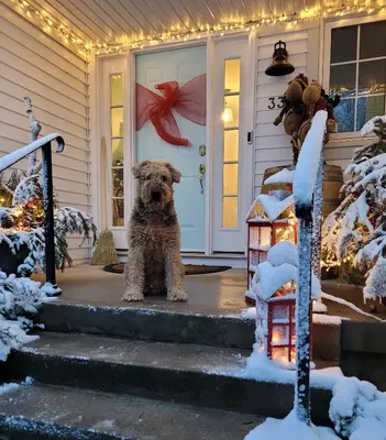 a dog sitting on the front door of a house at La Maison de Sophie in Niagara on the Lake