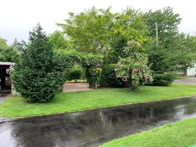 a garden in the rain with flowers and trees at THE YORK HOUSE BOUTIQUE Stay in Fort Erie