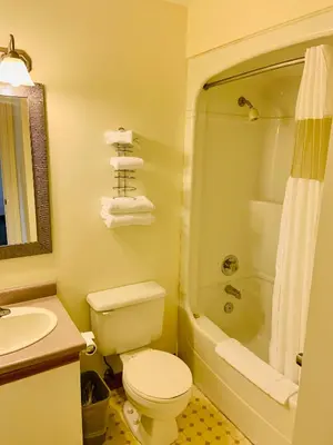 a bathroom with a toilet and a sink and a shower at Toronto Lakeshore Hotel in Mississauga