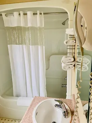 a bathroom with a sink and a shower curtain at Toronto Lakeshore Hotel in Mississauga