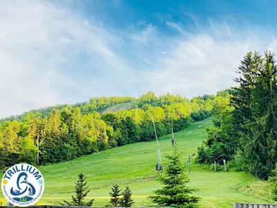 a lush green hill with a gondola in a field at Cozy Studio Loft with 2 Baths Next to Slopes in Blue Mountains