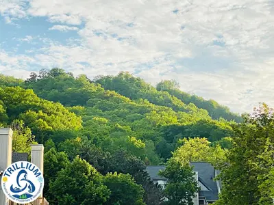 a sign in front of a mountain with trees at Cozy Studio Loft with 2 Baths Next to Slopes in Blue Mountains