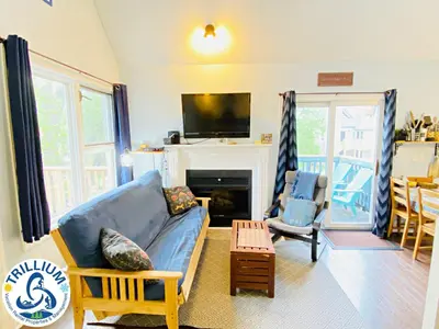 a living room with a couch and a fireplace at Cozy Studio Loft with 2 Baths Next to Slopes in Blue Mountains