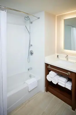 a bathroom with a tub and a sink and a shower at Delta Hotels by Marriott Toronto Mississauga in Mississauga