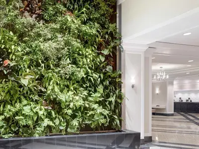 a green wall in the lobby of a building at Chelsea Hotel Toronto in Toronto