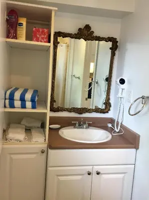 a bathroom with a sink and a mirror at Ellis House Bed & Breakfast in Niagara Falls