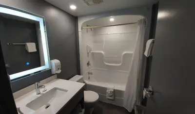 a bathroom with a sink and a toilet and a shower at Americana Waterpark Resort & Spa in Niagara Falls