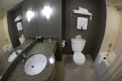 a bathroom with a sink and a toilet and a mirror at The Oakes Hotel Overlooking the Falls in Niagara Falls