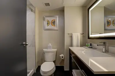 a bathroom with a toilet and a sink and a mirror at Four Points by Sheraton St. Catharines Niagara Suites in Thorold