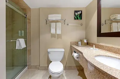 a bathroom with a toilet and a sink and a shower at Quality Inn & Suites in Brampton