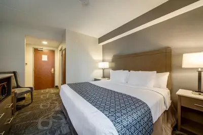 a hotel room with a large bed and a television at Monte Carlo Inn Airport Suites in Mississauga