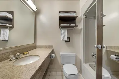 a bathroom with a sink and a toilet and a mirror at Best Western Plus Stoneridge Inn & Conference Centre London Ontario in London