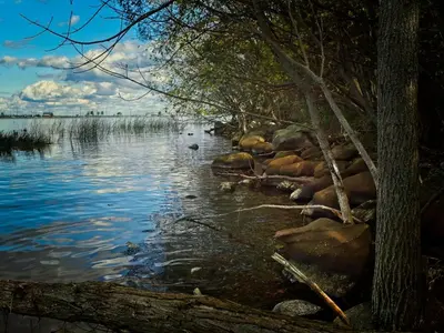 a view of a body of water with trees at 6BR Blue Mountain Chalet Hot Tub Updated Walk to Village Fun in Blue Mountains