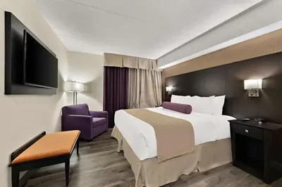 a hotel room with a bed and a purple chair at Best Western Plus Toronto North York Hotel & Suites in Toronto