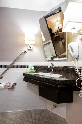 a bathroom with a sink and a mirror at Holiday Inn Hotel & Suites St.Catharines-Niagara by IHG in St. Catharines